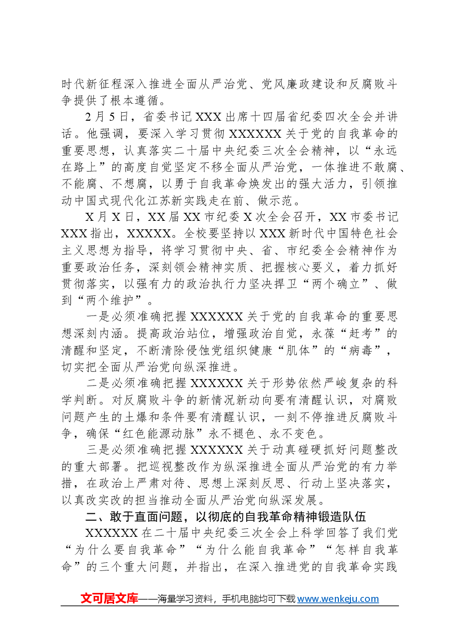 校党委书记在2024年全面从严治党工作会议讲话.docx，第2页预览