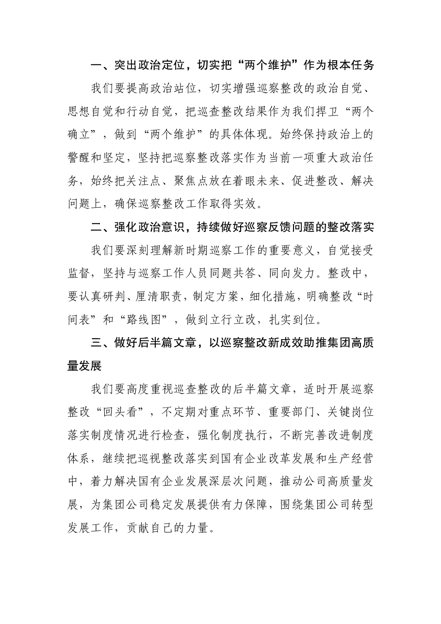 在巡查整改专题研讨会上的发言.pdf,第2页预览