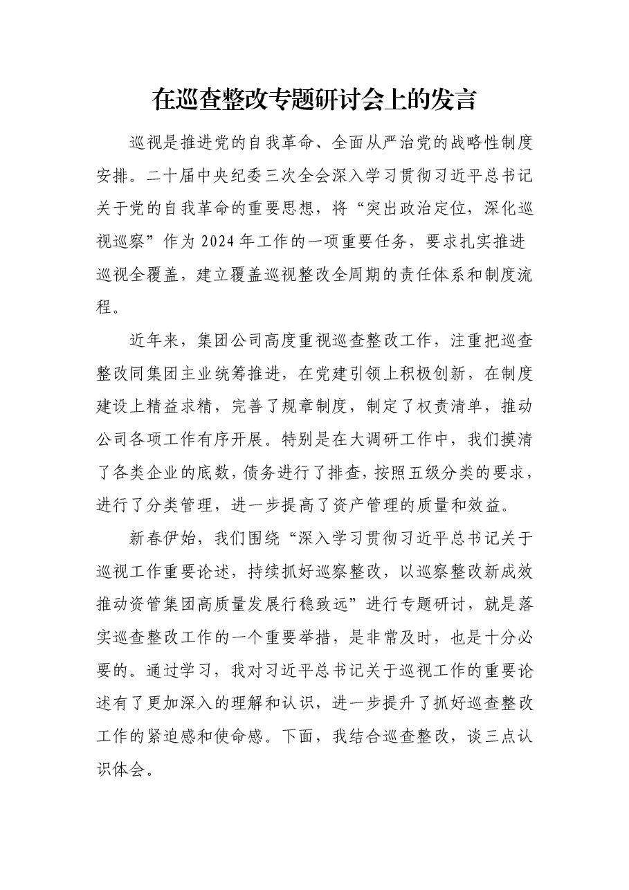 在巡查整改专题研讨会上的发言.pdf,第1页预览
