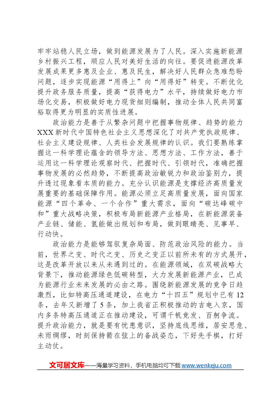 专题党课：锚定双碳目标着力提升“三个能力”坚决扛起能源高质量发展重任.docx，第2页预览