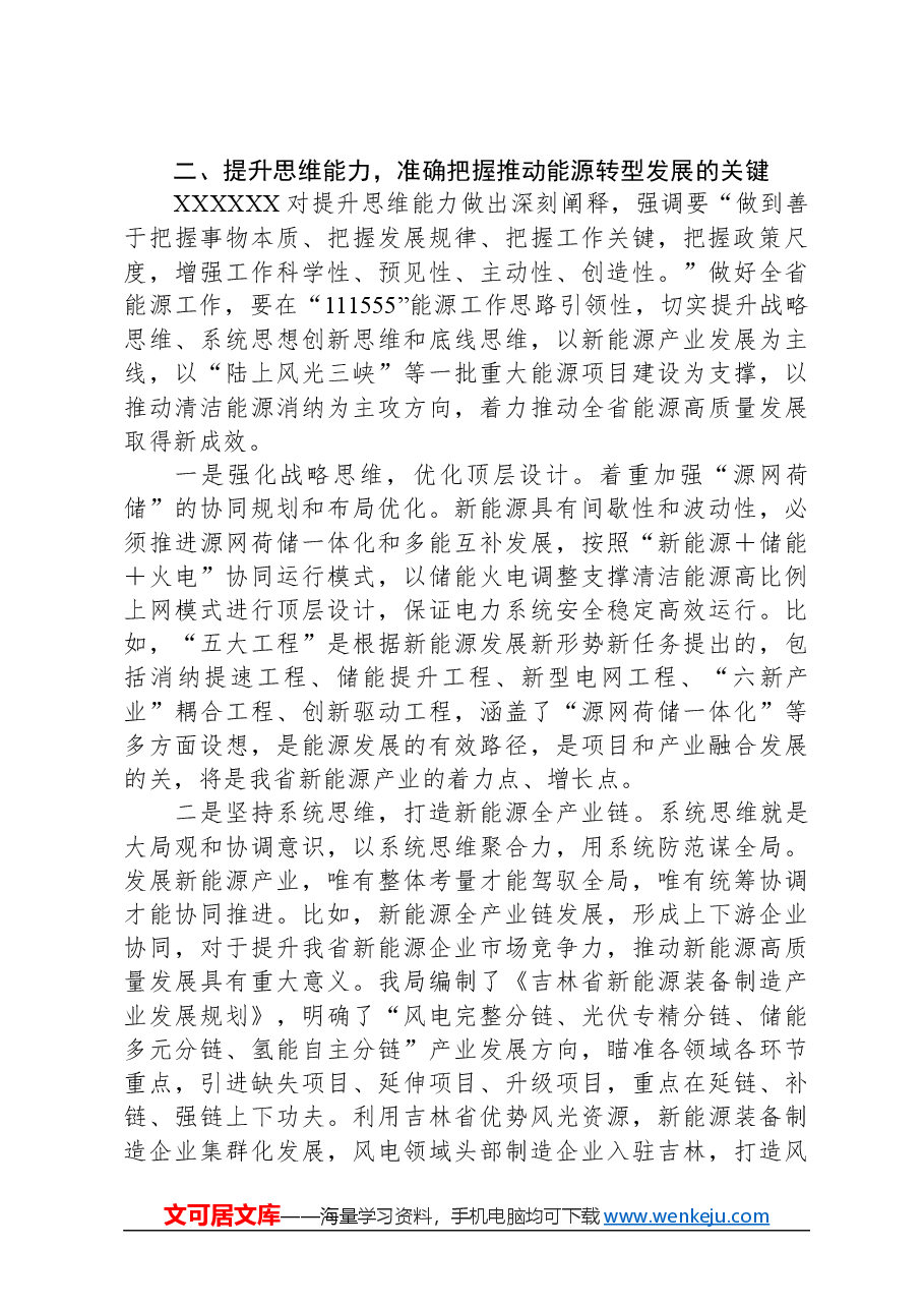 专题党课：锚定双碳目标着力提升“三个能力”坚决扛起能源高质量发展重任.docx，第3页预览