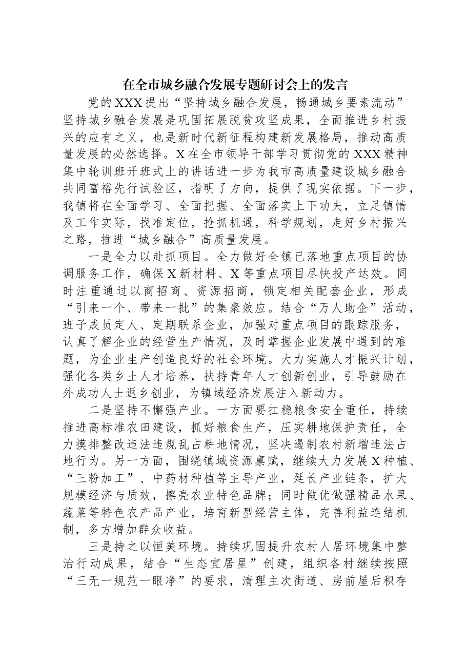 在全市城乡融合发展专题研讨会上的发言.docx,第1页预览