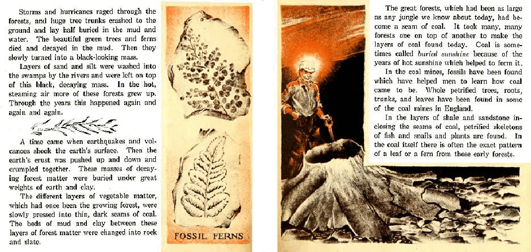 The Story Book of Coal (The John C. Winston Company) (1935) (childrensbooksonline.org).pdf，第4页预览