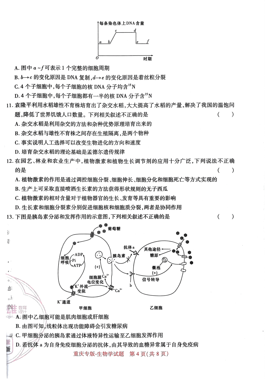 高考押题卷2023-重庆专版-生物.pdf，第4页预览