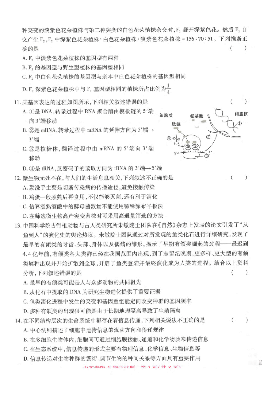 【1】《 高考押题卷》-山东专版:生物.pdf,第3页预览