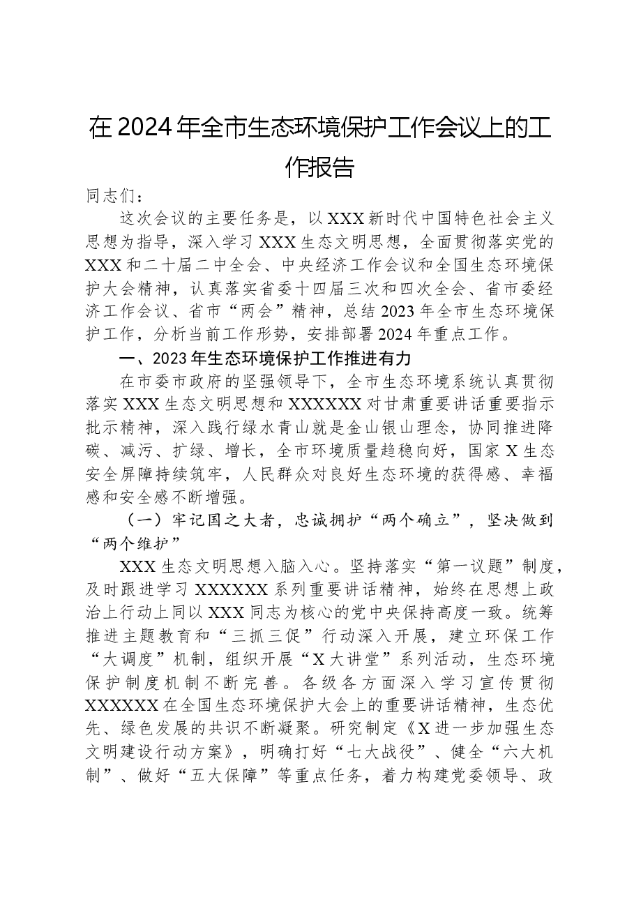 在2024年全市生态环境保护工作会议上的工作报告.docx,第1页预览