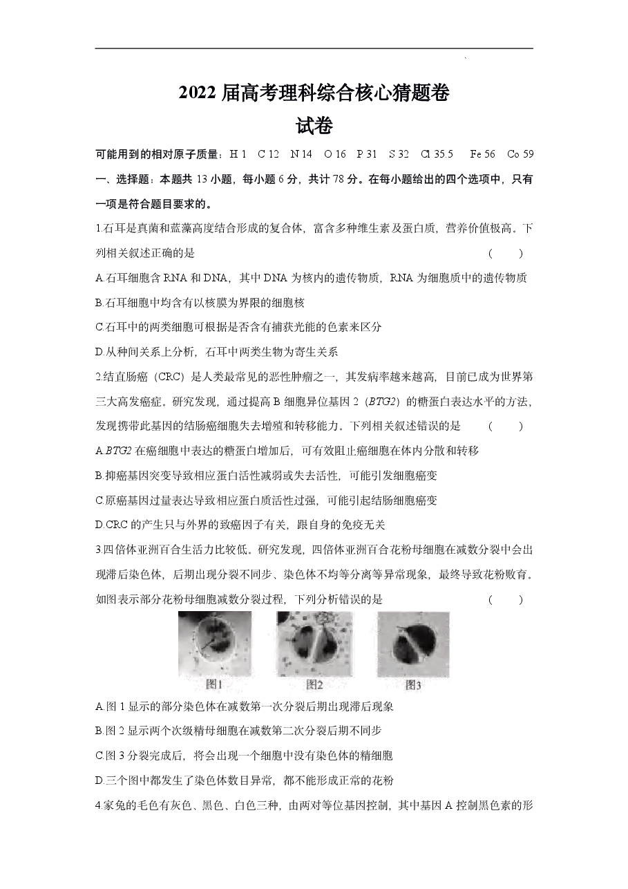 【2022年】高考押题卷2022高考核心猜题卷理综试卷及答案.pdf,第1页预览