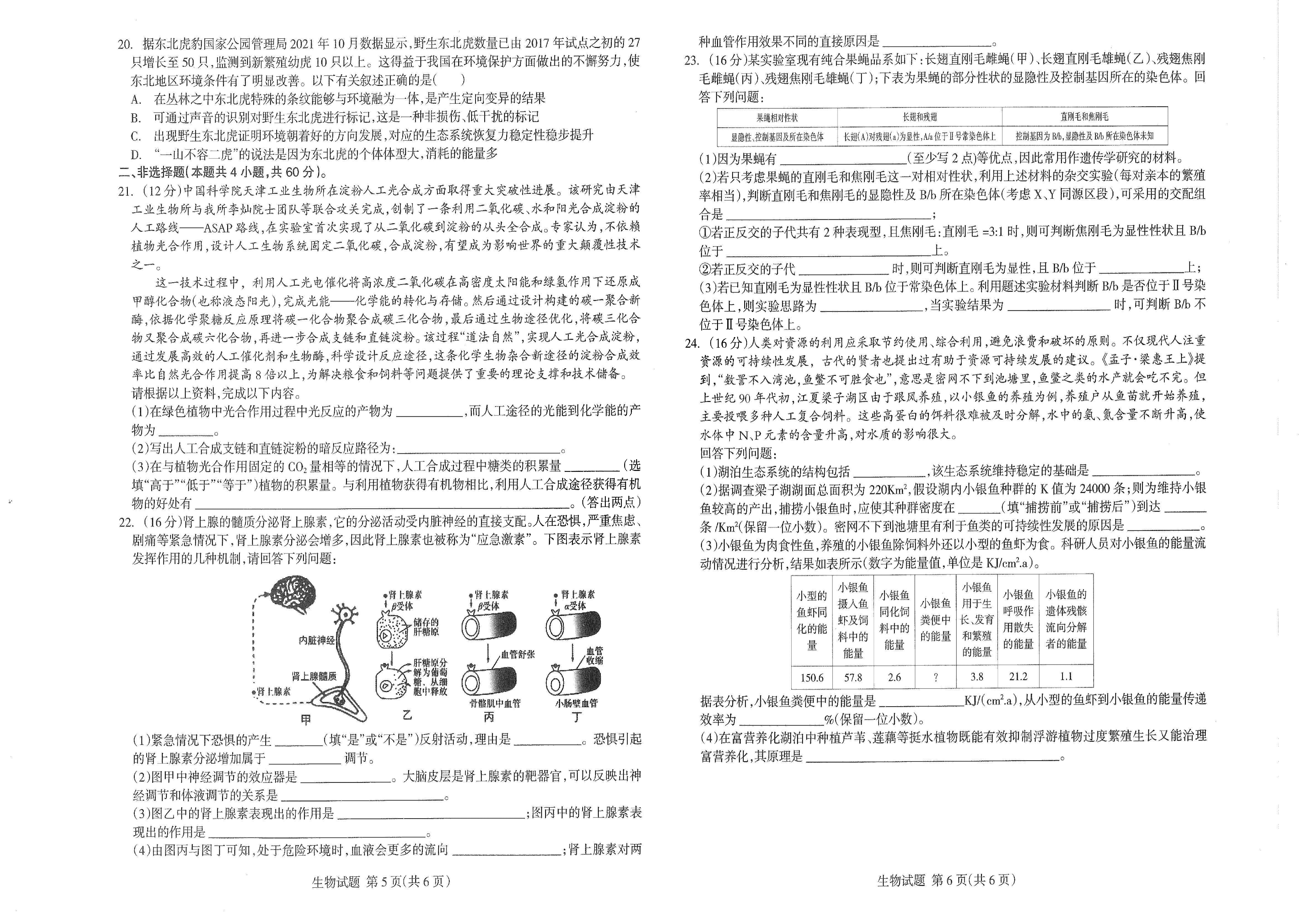 【2022年】高考押题卷王HXiong-终极押题-生物【新高考】.pdf,第3页预览