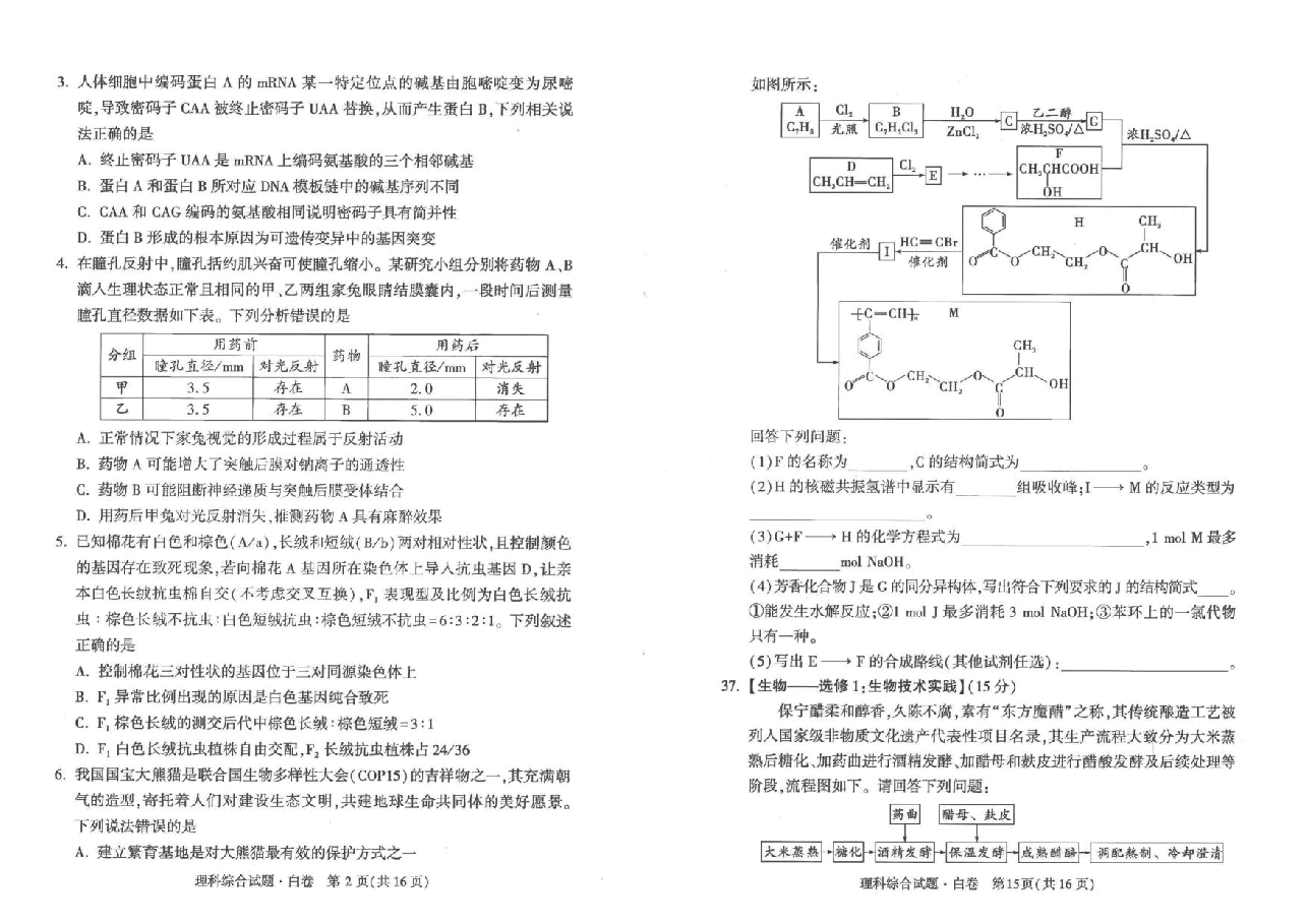 【2022年】高考押题卷白理综.pdf,第2页预览