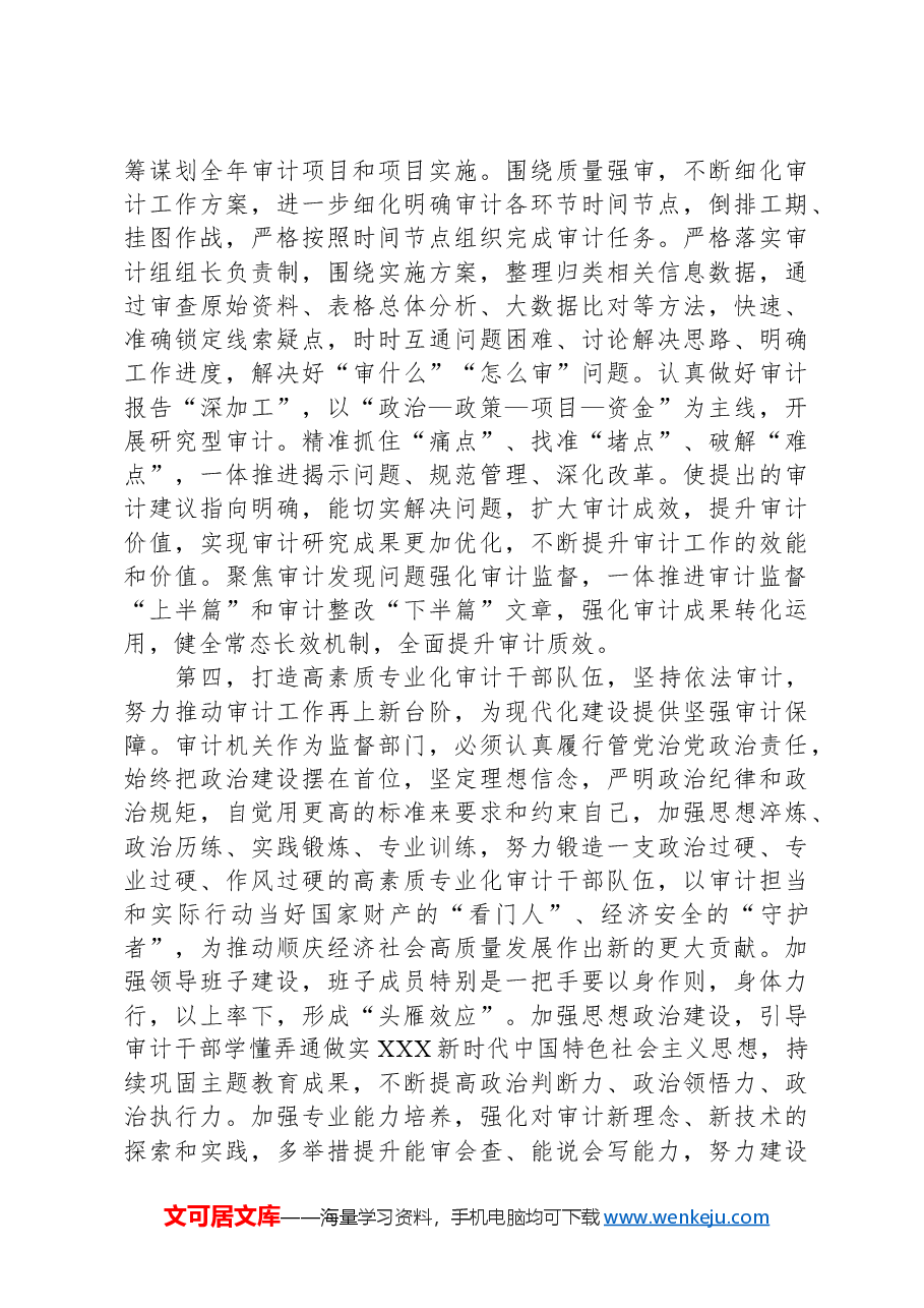 在2024年审计工作会议上的讲话提纲.docx,第4页预览