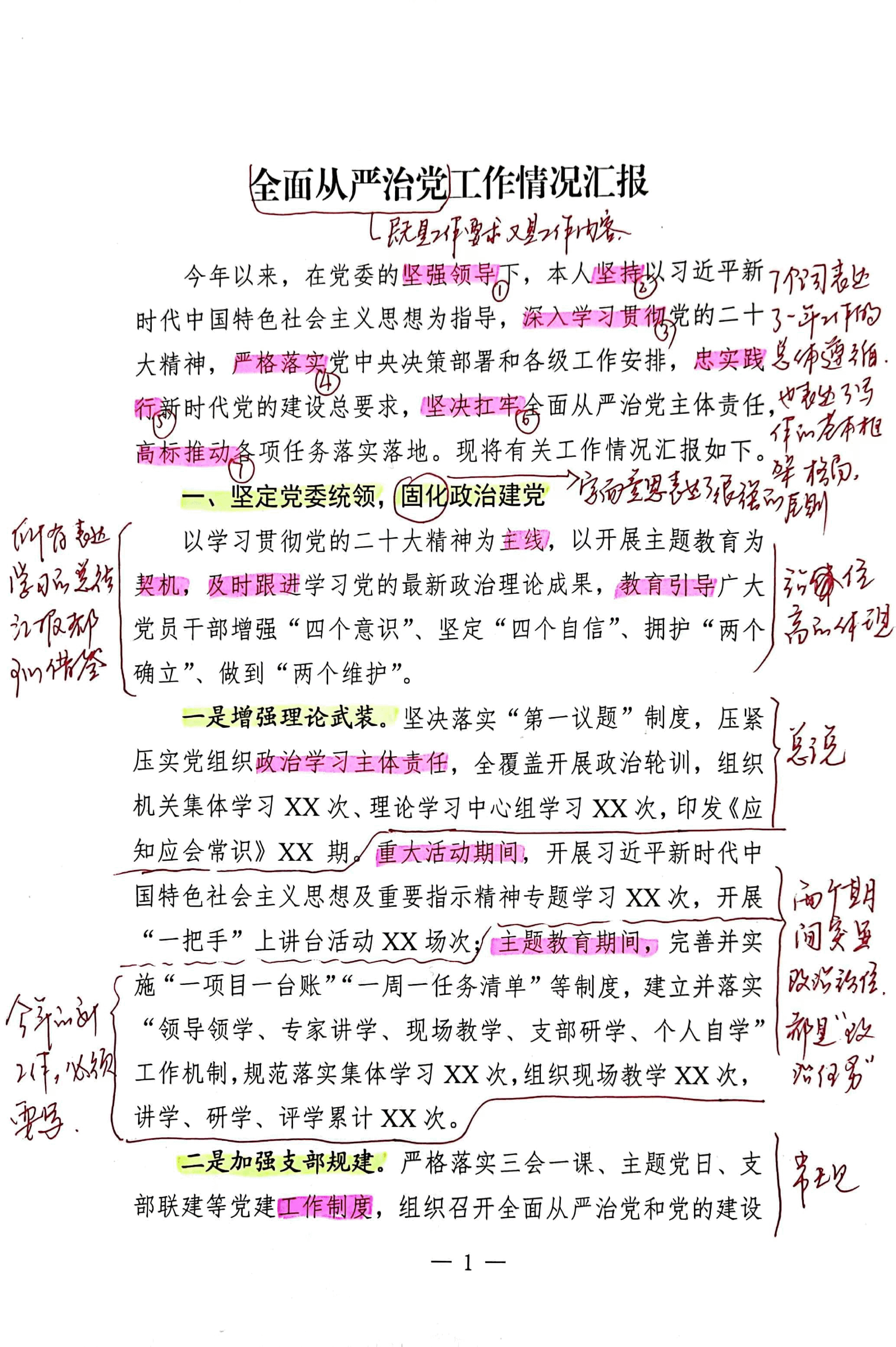 【解析】全面从严治党工作情况汇报.pdf，第1页预览