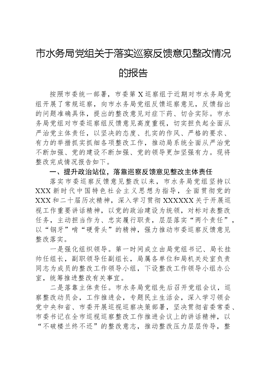 市水务局党组关于落实巡察反馈意见整改情况的报告.docx，第1页预览