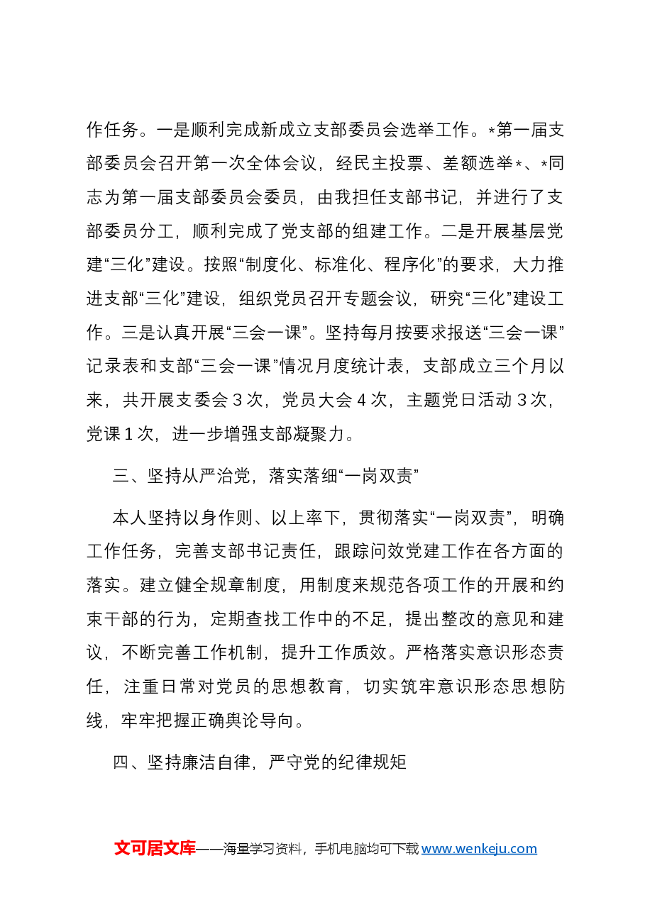 新成立的党支部书记述职报告.docx，第2页预览