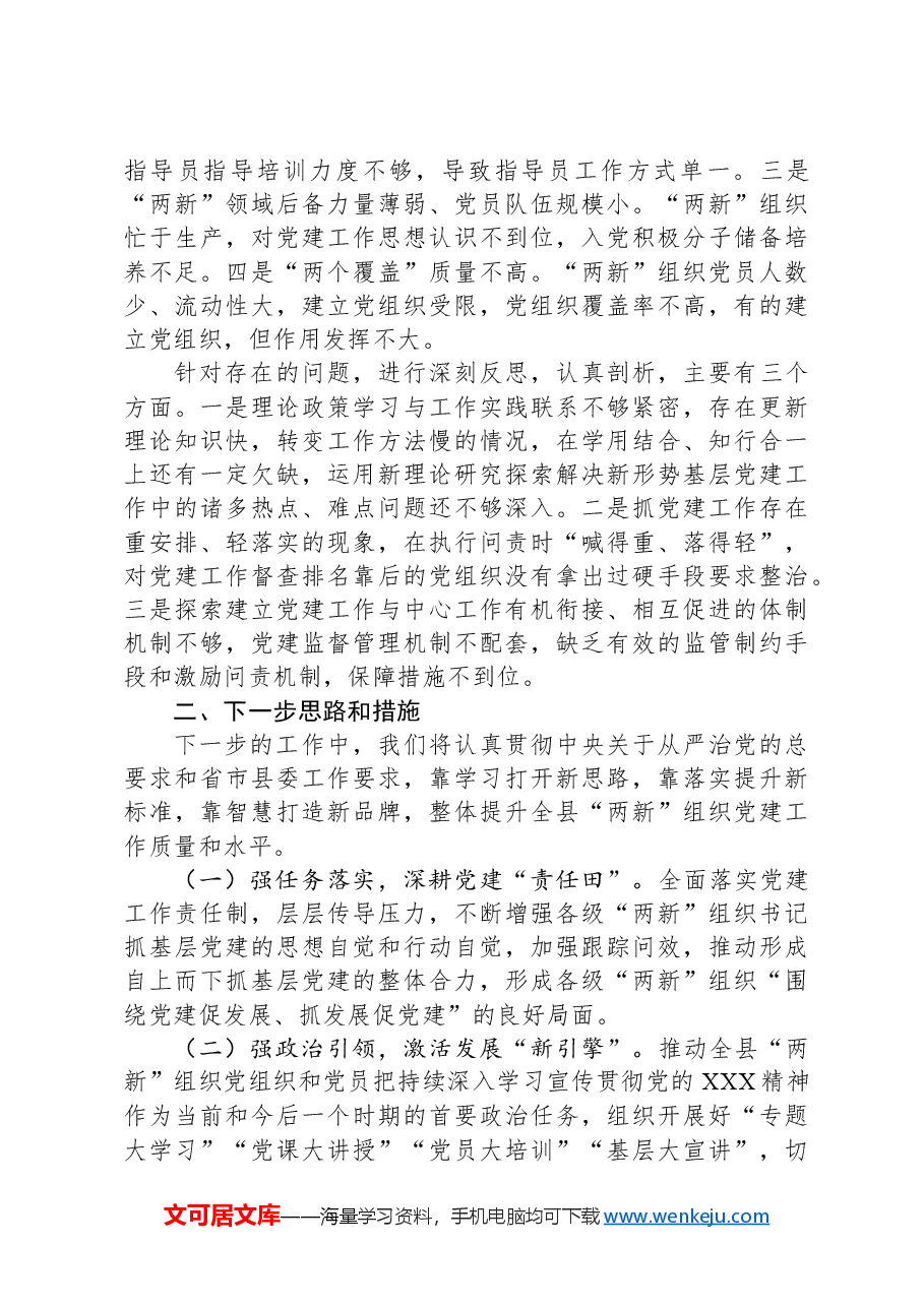 县委“两新”党工委书记抓基层党建工作述职报告.docx,第3页预览