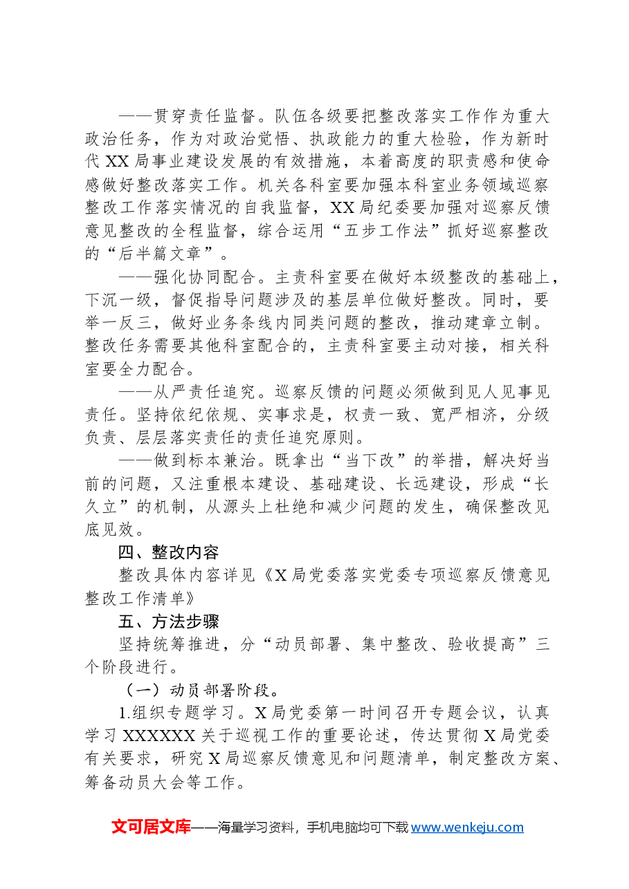 落实党委专项巡察意见整改工作方案.docx,第2页预览