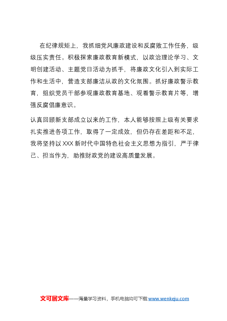 新成立的党支部书记述职报告.docx，第3页预览