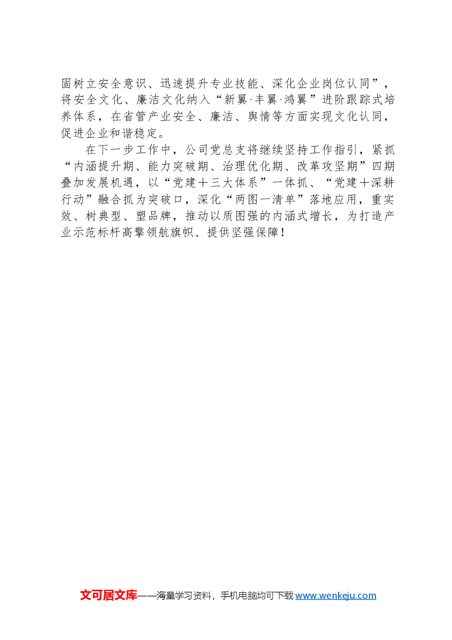 国有企业“党建+安全”工作经验汇报.docx，第3页预览