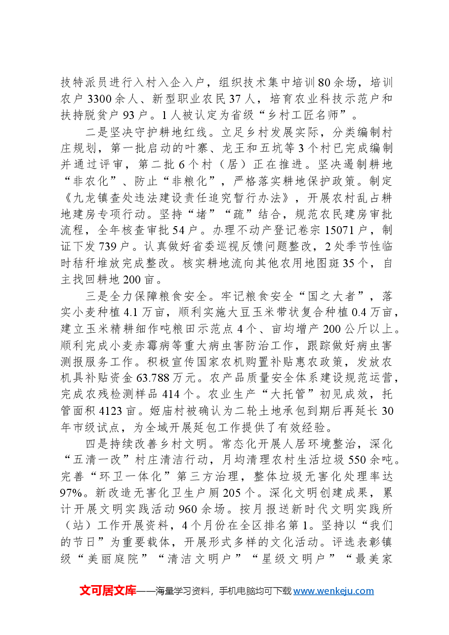2024年九龙镇政府工作报告.docx，第3页预览