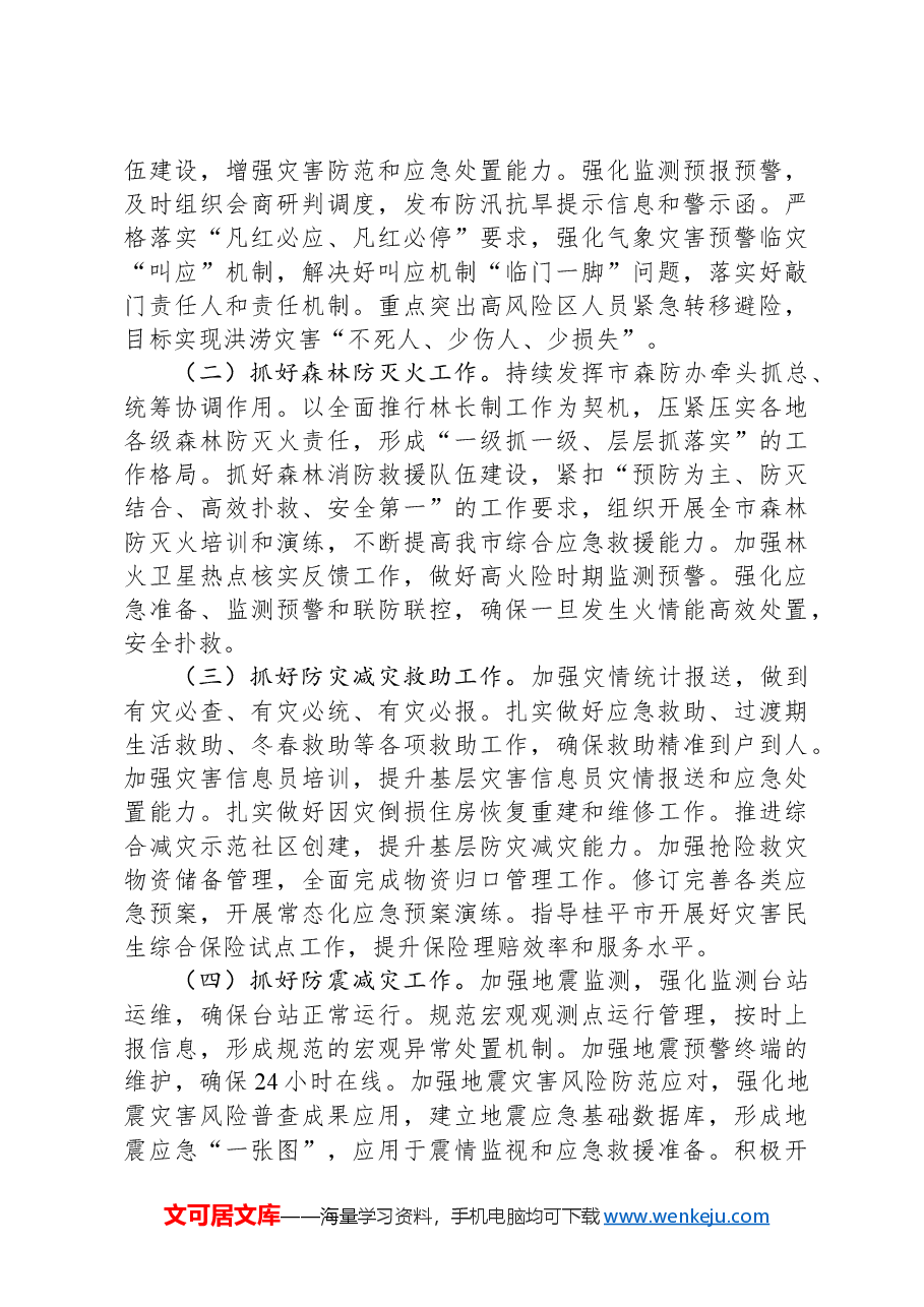 市应急管理局2024年工作要点.docx,第3页预览