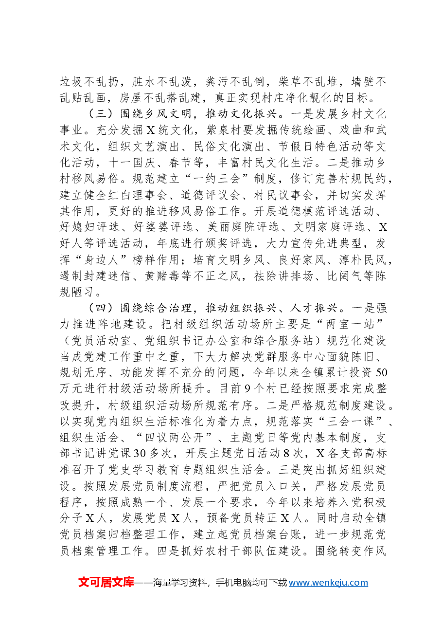 推进乡村振兴战略情况工作总结.docx,第3页预览