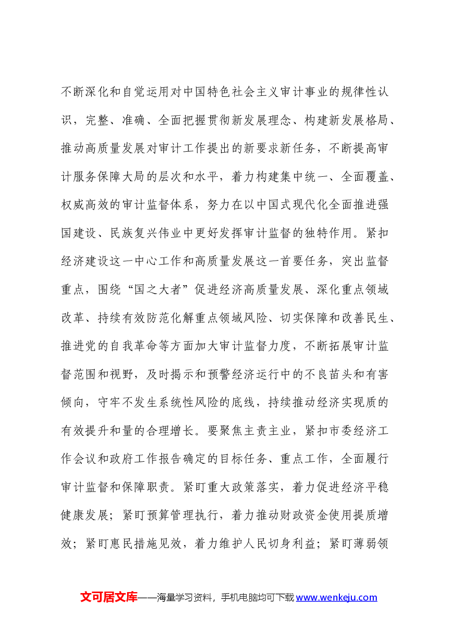 在2024年审计工作会议上的讲话.docx,第4页预览