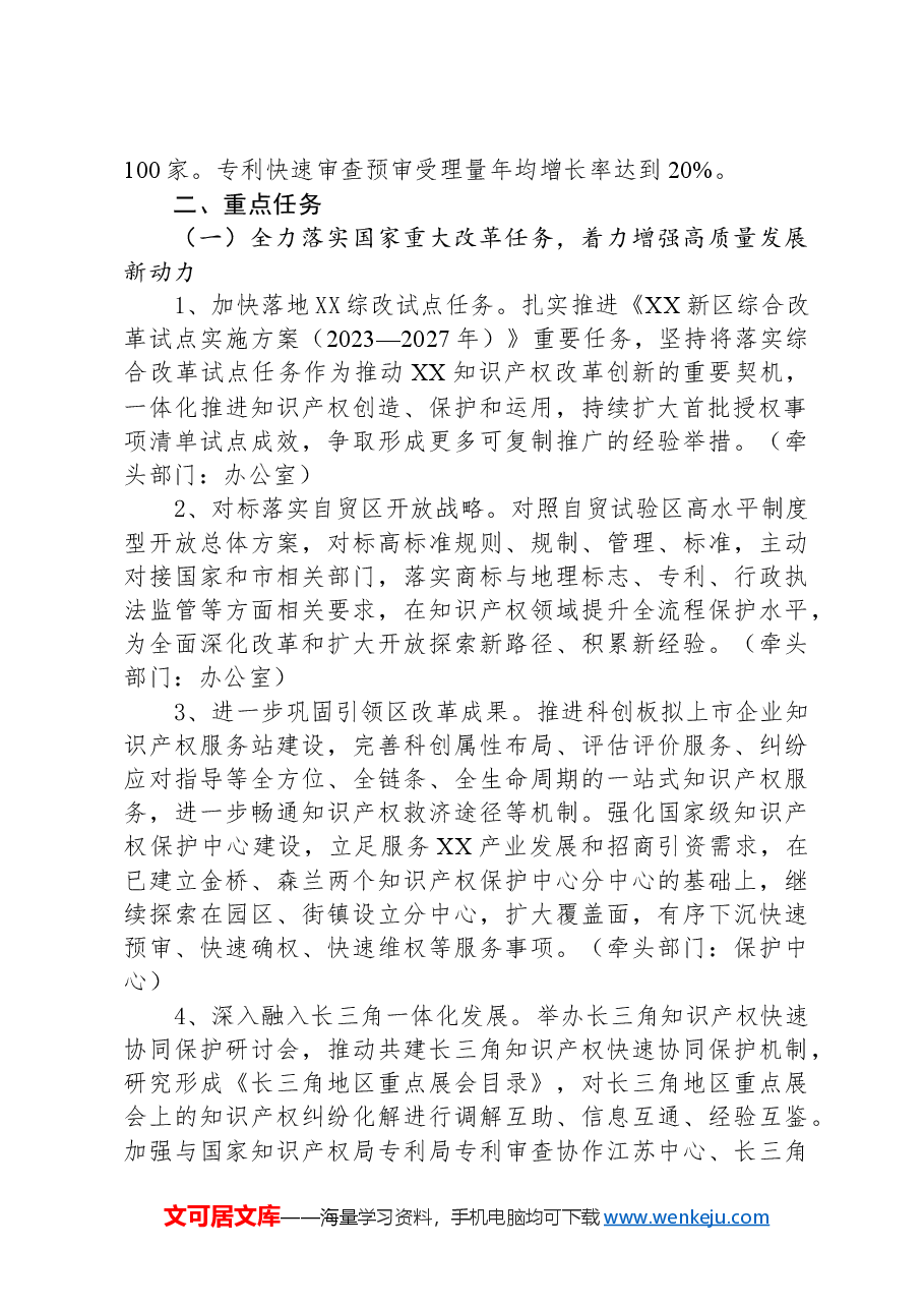 XX新区知识产权局2024年工作要点.docx，第2页预览