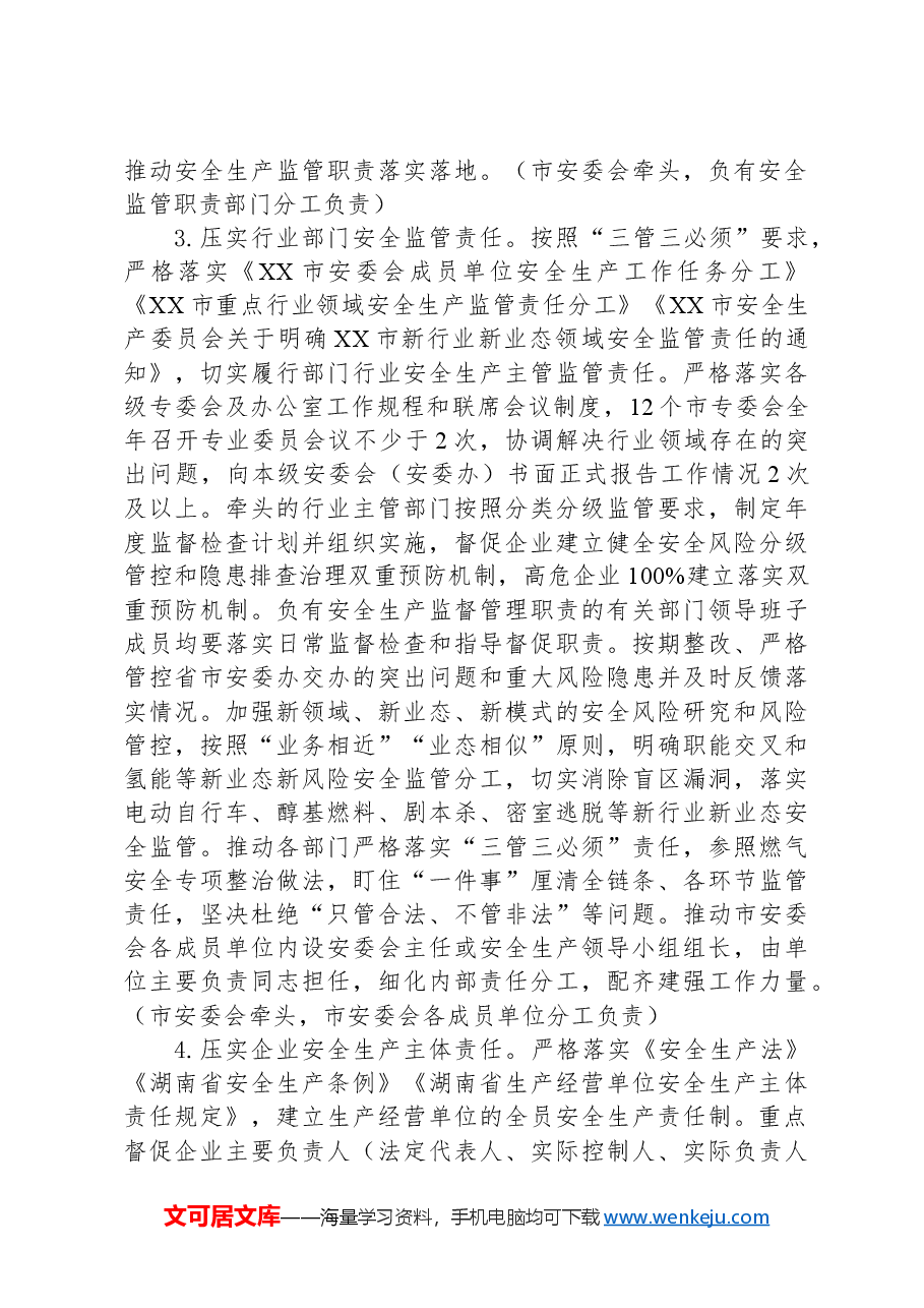 市安全生产委员会2024年度工作要点.docx,第3页预览