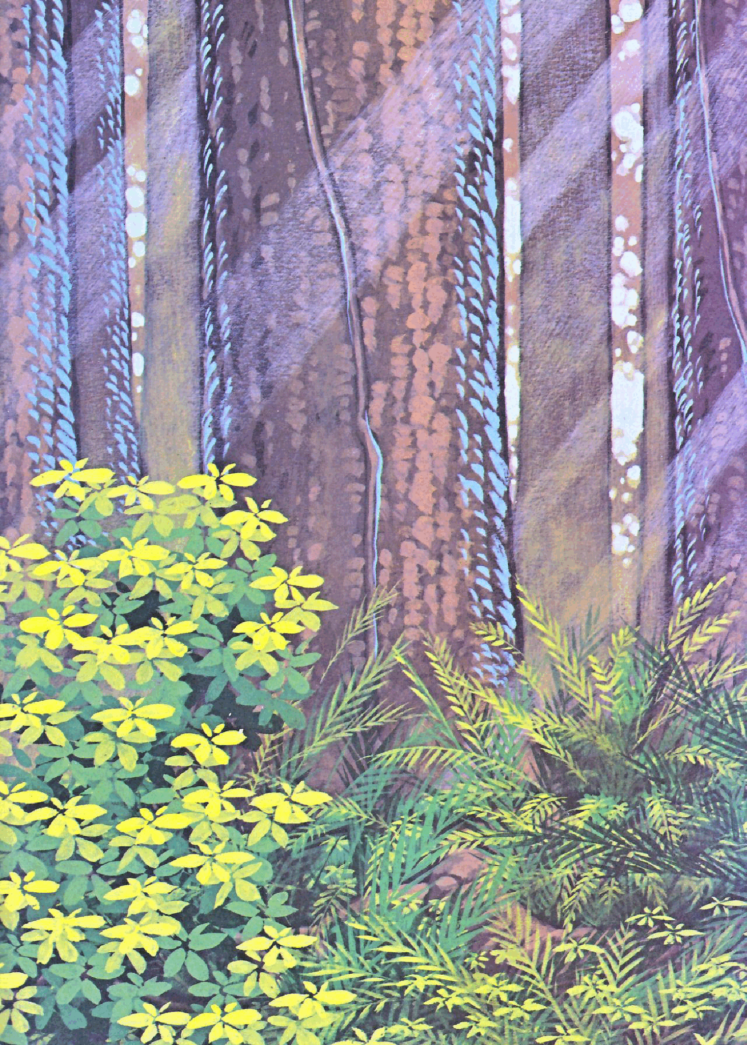 Star Wars - How The Ewoks Saved The Trees (Random House) (1984) (stefcuk).pdf,第2页预览