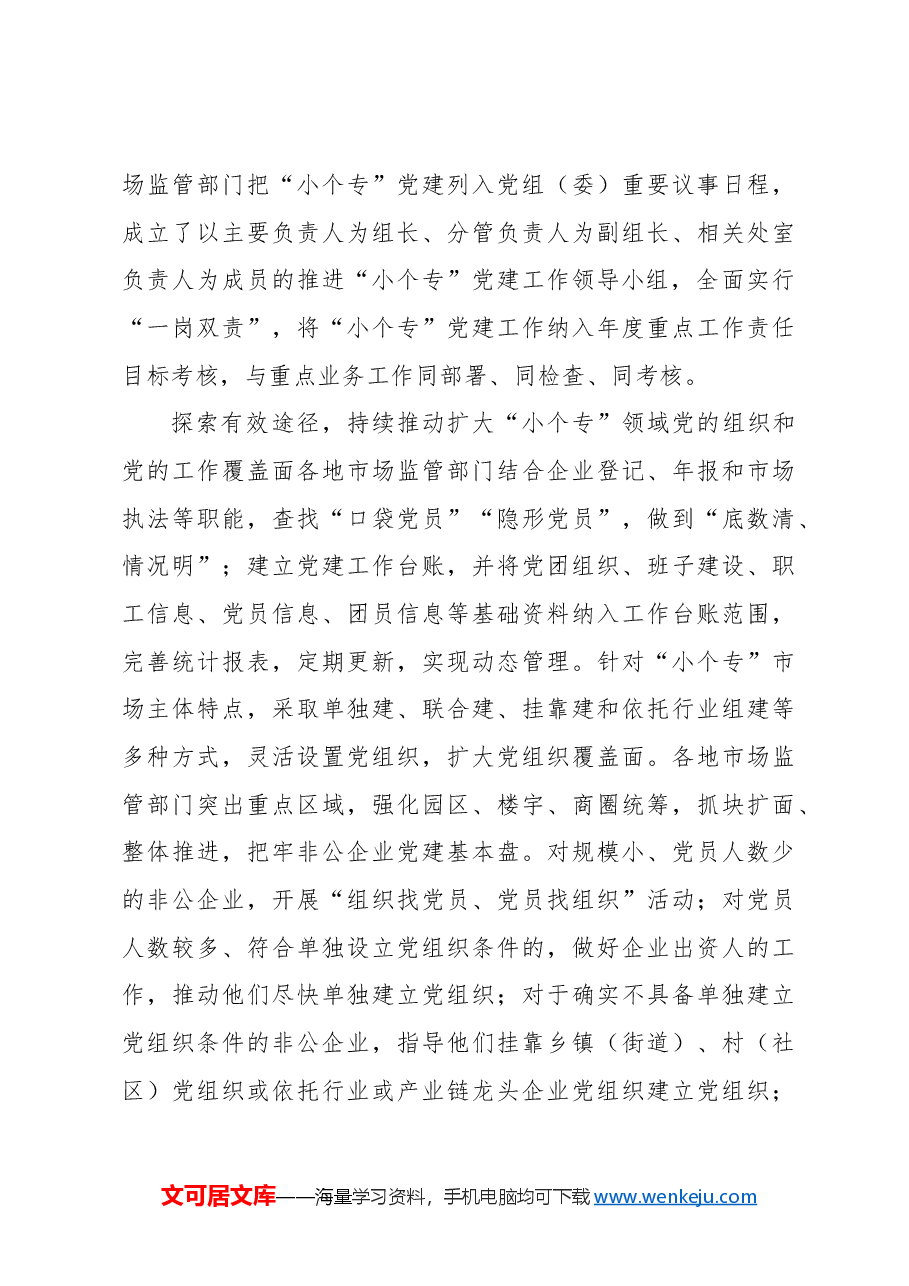 扎实开展“小个专”党建工作引领高质量发展工作报告.docx，第3页预览