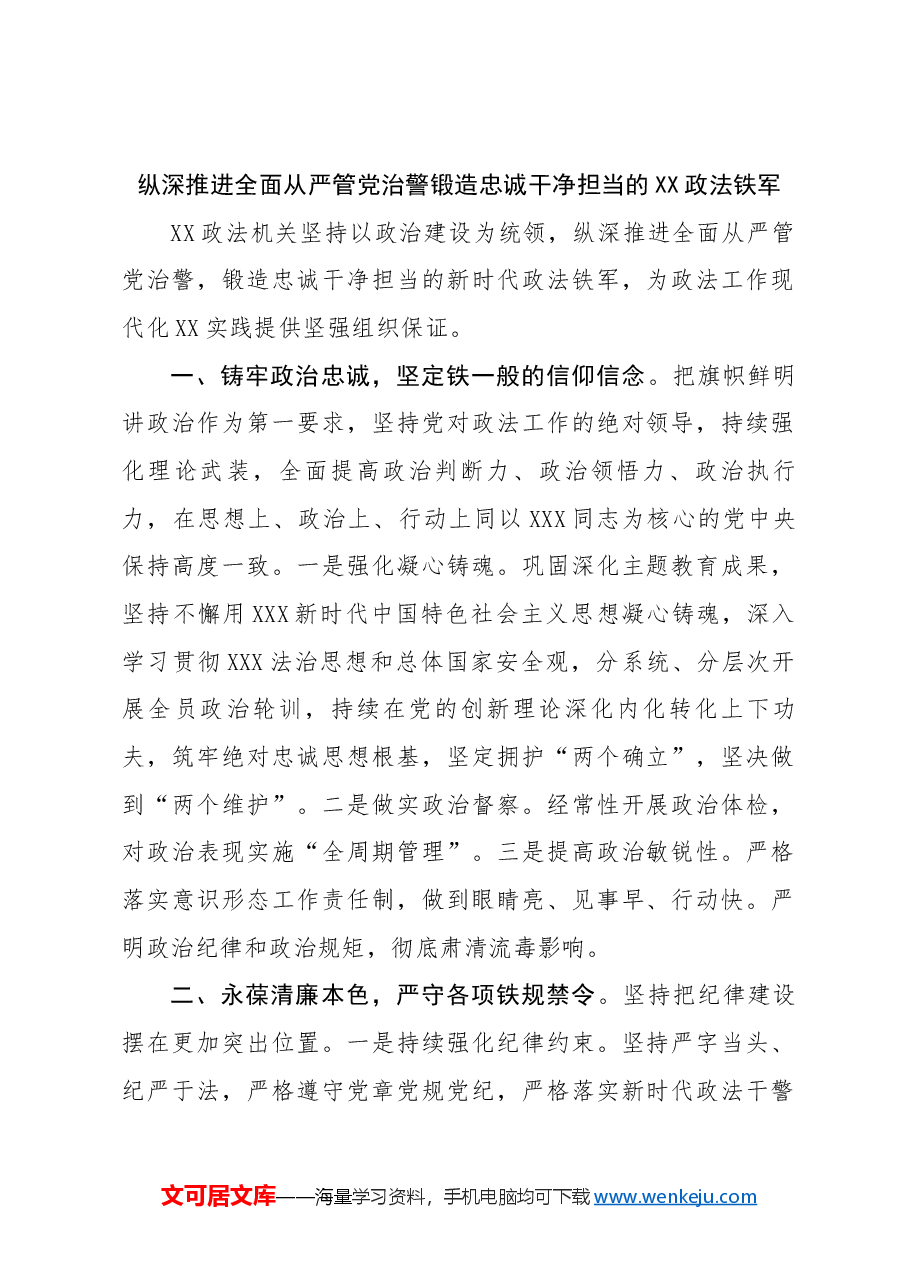 (4篇)在政法工作会议发言材料汇编.docx,第2页预览