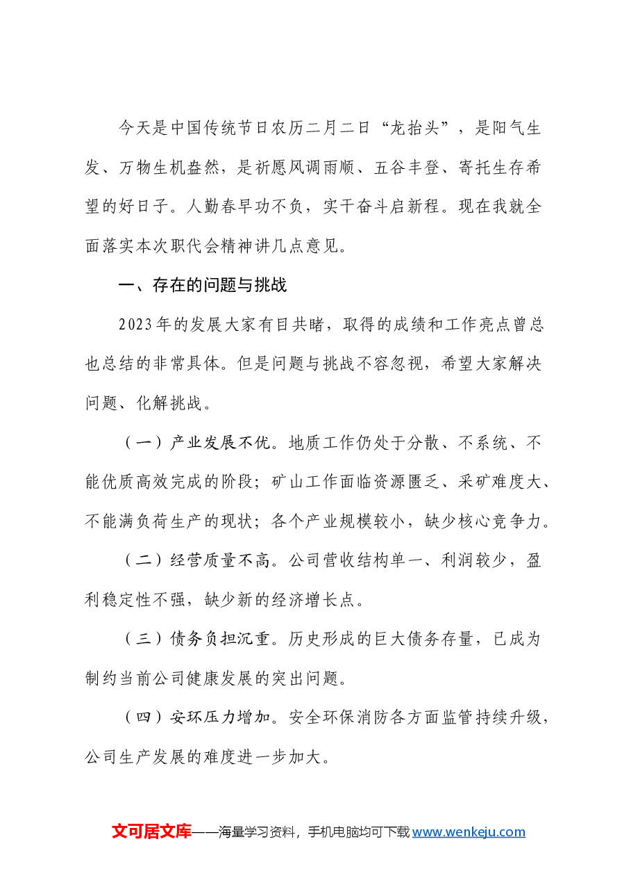 国企党委书记在公司职代会暨2024年工作会议上的讲话.docx，第2页预览