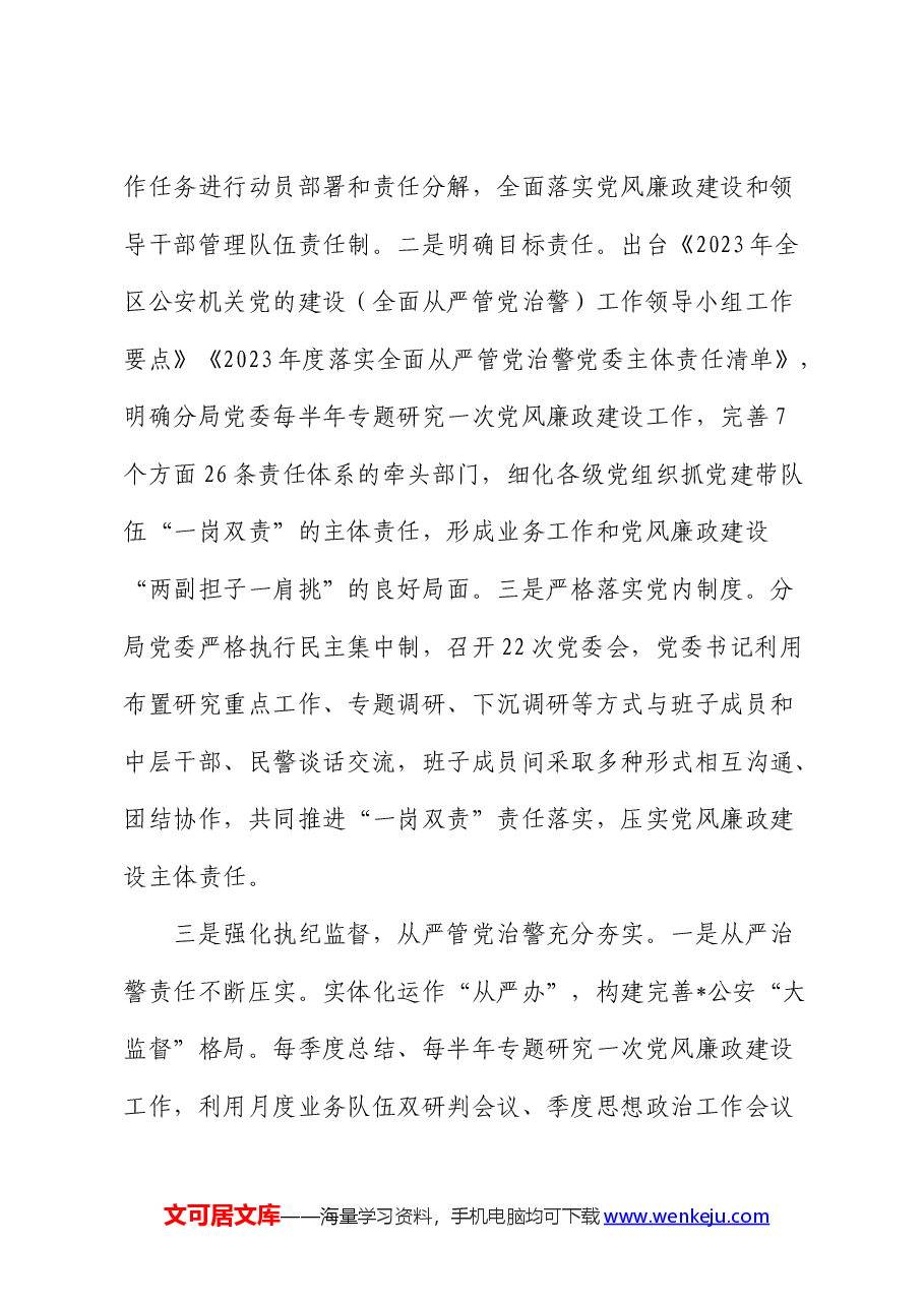 在全区政法系统党的建设暨党风廉政建设工作会议上的发言(公安).docx,第3页预览