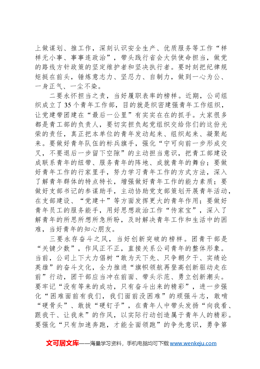 国有企业团青干部座谈会上的讲话.docx,第3页预览