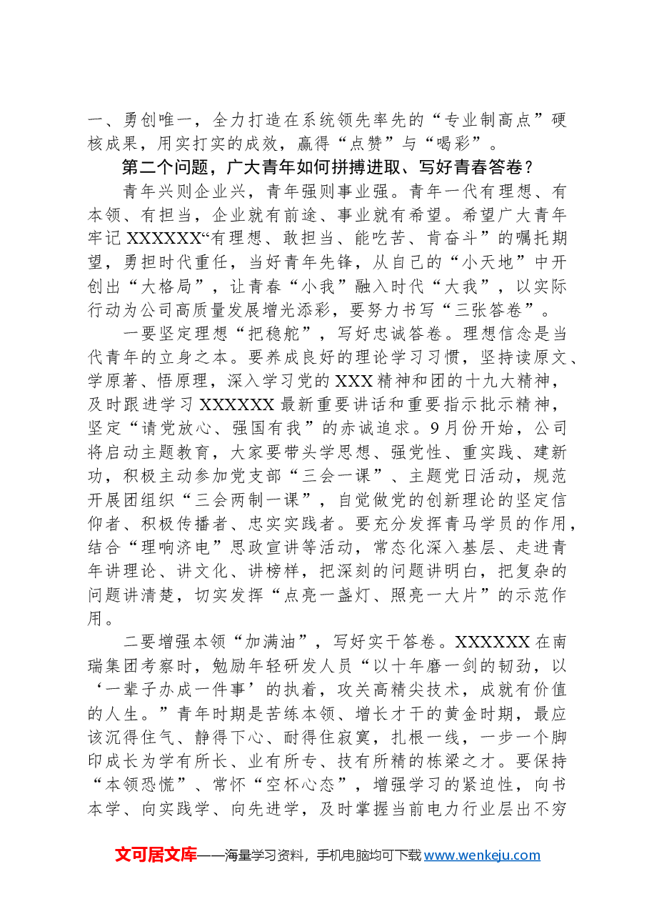 国有企业团青干部座谈会上的讲话.docx,第4页预览