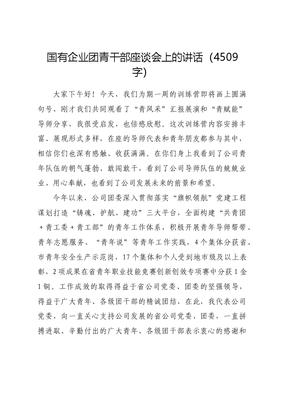 国企团青干部座谈会上的讲话.docx,第1页预览