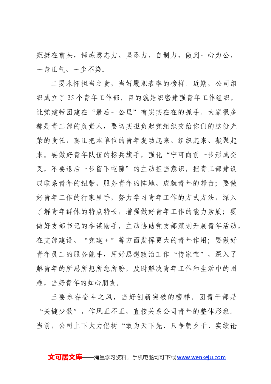 国企团青干部座谈会上的讲话.docx,第4页预览