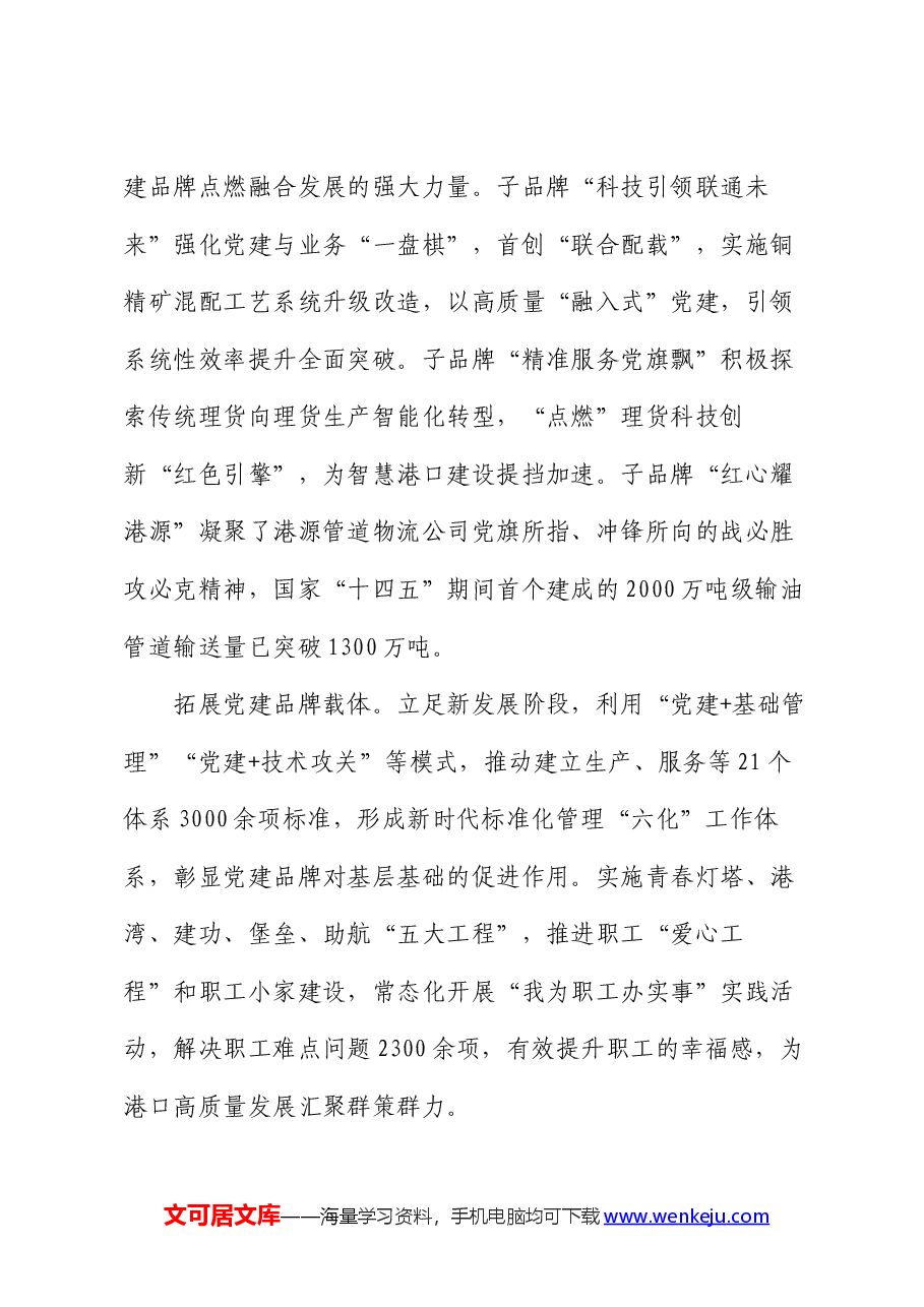 经验交流:党建品牌矩阵赋能高质量发展.docx,第4页预览