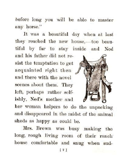 英文绘本:Ned the Cowboy (Frederick A. Stokes) (1912).pdf,第4页预览