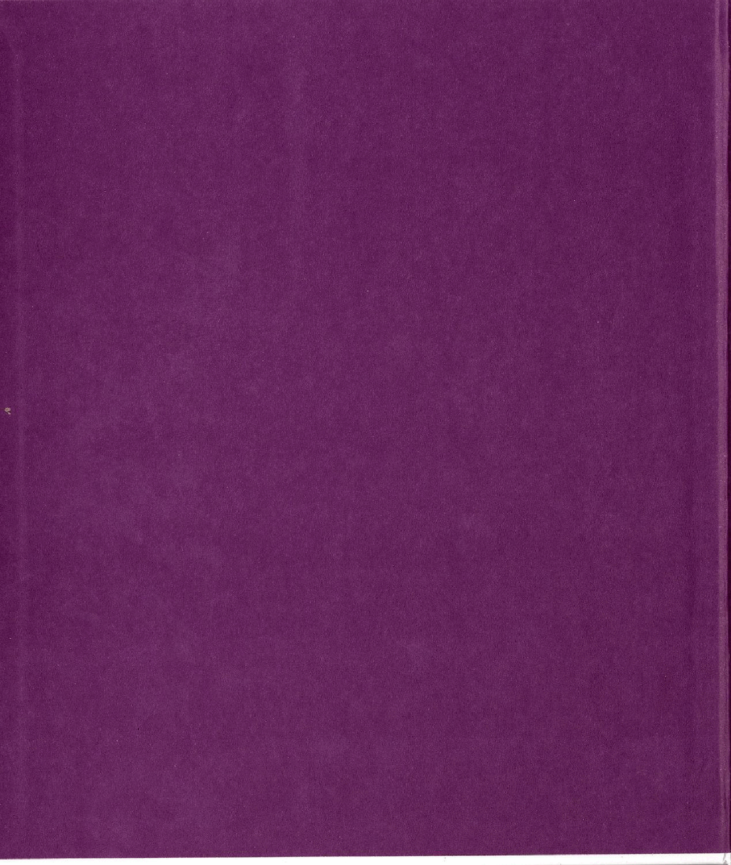 Judge Rabbit and the Tree Spirit (1991) (c2c) (ICDL).pdf,第2页预览