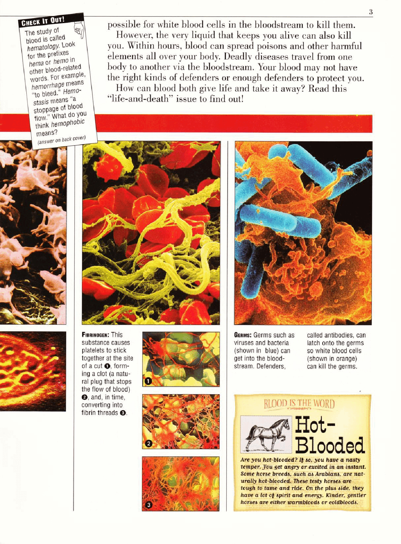 Kids Discover v09n01 - Blood (1999-04).pdf,第3页预览