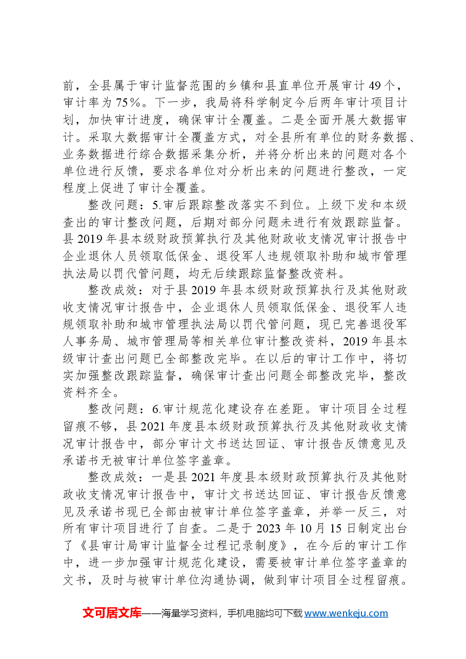 县审计局党组关于巡察整改情况的报告.docx，第4页预览