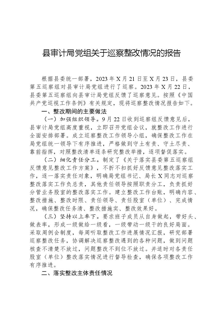 县审计局党组关于巡察整改情况的报告.docx，第1页预览