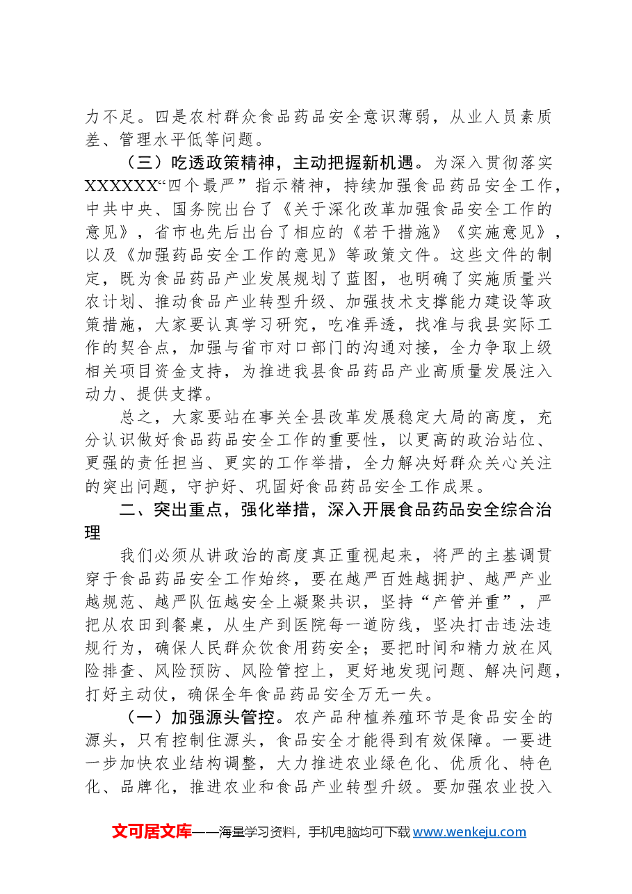 县长在县政府食品药品安全委员会全体会议上的讲话.docx,第3页预览