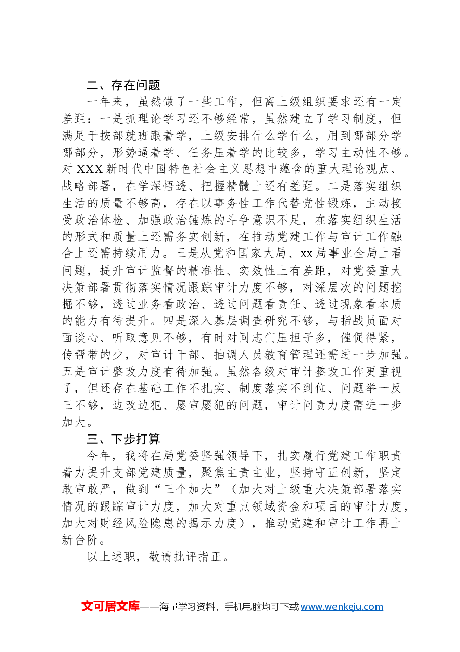 审计室党支部书记抓党建述职报告.docx,第3页预览