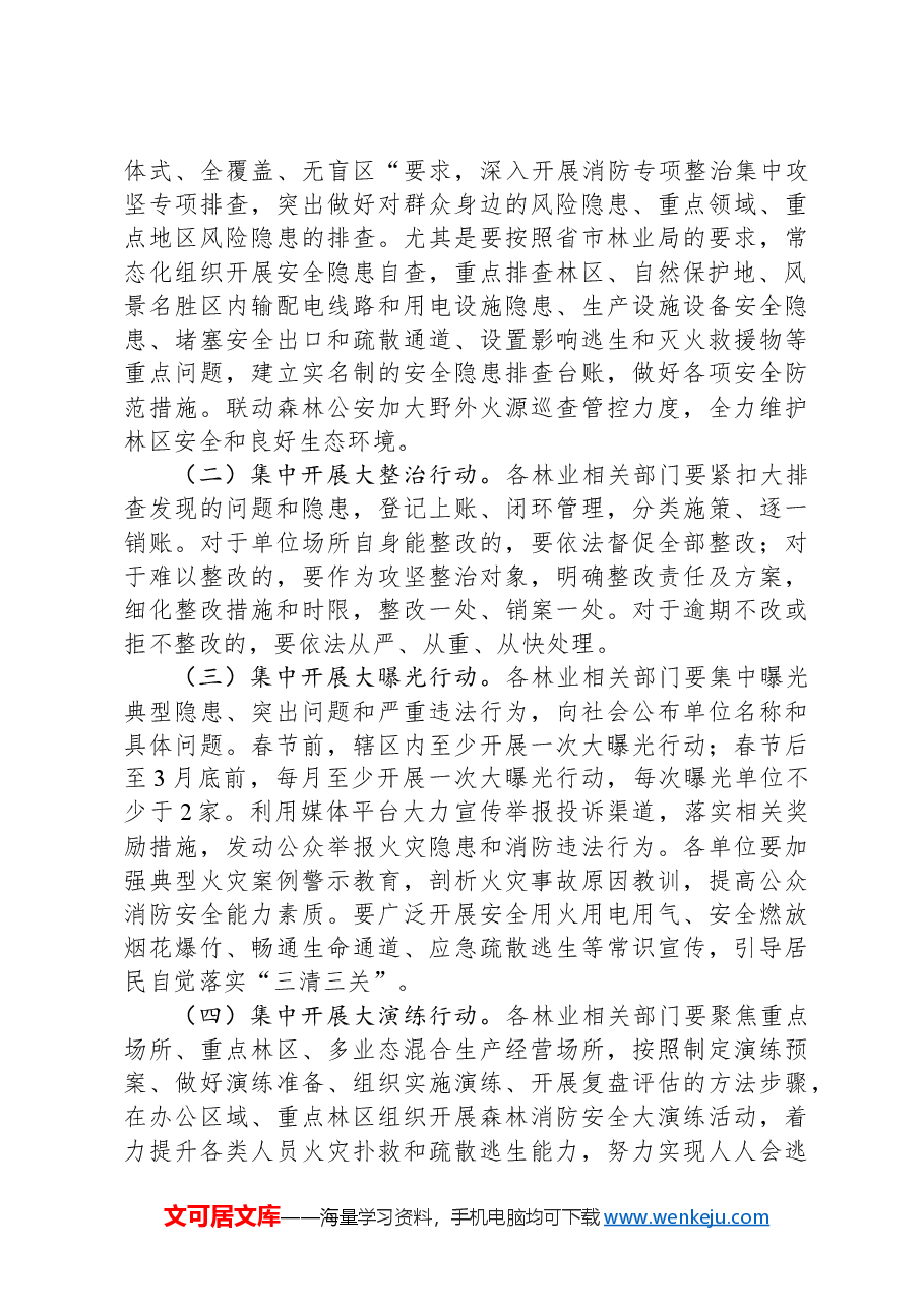 2024年X区林业系统消防安全集中除患攻坚大整治行动工作方案.docx,第4页预览