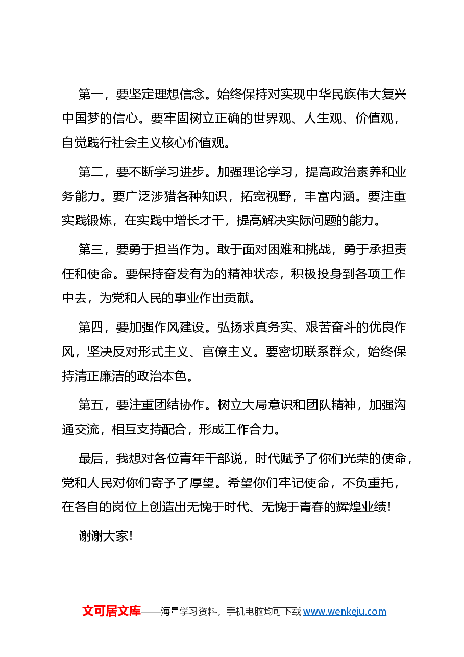 在青年干部大会上的讲话稿.docx,第3页预览