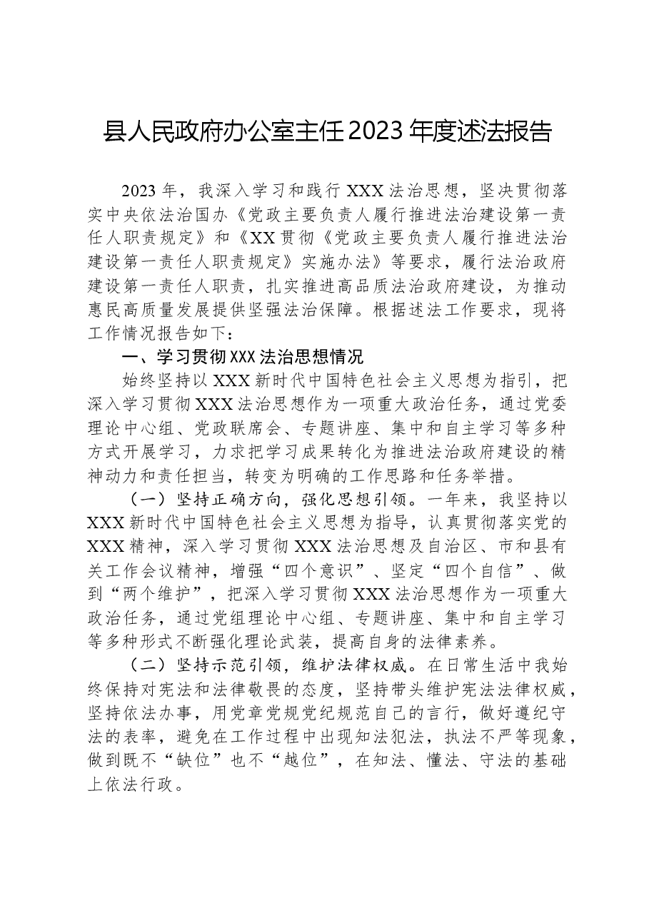 县人民政府办公室主任2023年度述法报告.docx，第1页预览