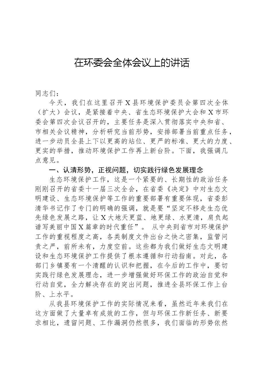 在环委会全体会议上的讲话.docx,第1页预览