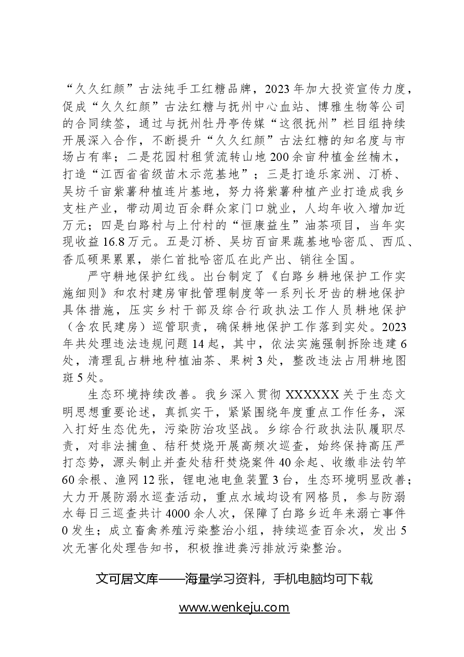 2024年白路乡政府工作报告.docx，第3页预览