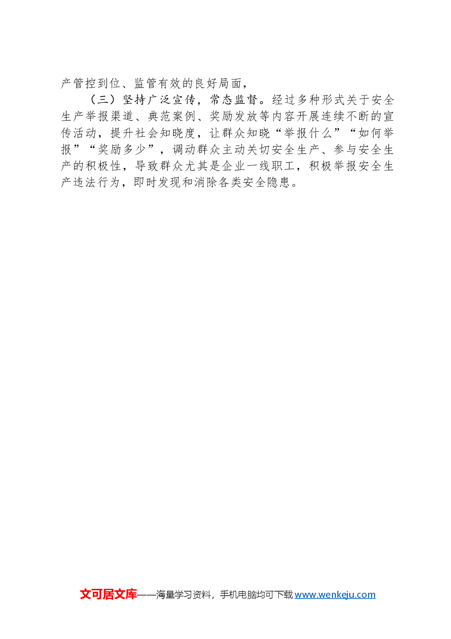 X区安全生产举报工作小结.docx，第3页预览